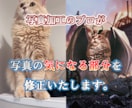 写真の気になる部分直します 思い出の一枚なのにもったいない、それ、解決します！ イメージ1