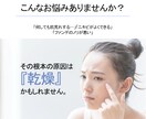 5名限定！モニター価格で画像を作成します とりあえずお試しで作ってみたい方、安く早く納品します！ イメージ5