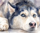 透明水彩で動物・ペットのイラストを手描きします 手描きの水彩画のイラストを、ご自宅やプレゼント用に！！！ イメージ2