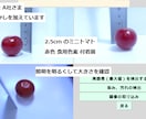 ＡＩ博士号所持者が画像解析システムを作ります AI技術を活用して、ビジネスを次のレベルへ イメージ3