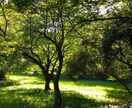 頑張りがむくわれる！仕事の成果の上げ方を助言します 10年間の人材再生の経験★読解力と自己肯定感のupがポイント イメージ10