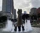 写真の色編集、光編集承ります 写真がなんか物足りないと感じた時綺麗な色合いに編集します イメージ6