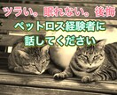 ペットロスに向き合い乗り越えるためのサポートします 経験者だからできる共感と癒しで、思い出を生きる力に変える イメージ1