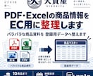 PDF・Excelの商品情報をEC用に整理します バラバラな商品資料を登録用データへ整えます イメージ1