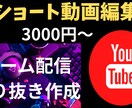 YouTubeショート動画編集いたします ゲーム切り抜き、面白動画が得意です イメージ1