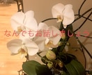 話聞きます 聞いてくれるだけでいい！私はそんな時ありました！ イメージ1