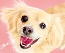 想いを乗せたイラストを描きます 飼い主さまの愛情をヒアリングし、イラストに生かします。 イメージ1