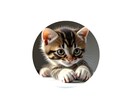 子猫AI化します いやしを届ける一枚です。良ければ沢山閲覧ください。 イメージ1