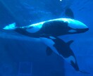 おかえんなさい！ってお出迎えします ガチャガチャ気分でポイント使いましょう イメージ1