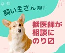 獣医師がペットのお悩み・疑問なんでも伺います 健康相談・日常生活・ペットロス・雑談、、、なんでもOKです イメージ1