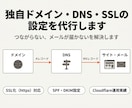 独自ドメイン・DNS・SSLの設定を代行します Aレコード・CNAME・MX・SPFの設定やSSL化に対応 イメージ1