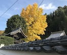不安について優しくお話します 不安、皆ありますよね、一緒に不安をゆっくり整理しましょう イメージ1
