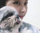 男性限定　貴方の疲れた心を癒します 心の声を聞かせて下さいませんか？貴方を癒し支えます イメージ4