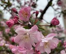 思念伝達☆好きな人へ貴方の気持ちを最大限届けます 復縁・人間関係等お相手の心にメッセージを届け安心を引き寄せる イメージ1