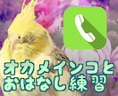 オカメインコとおはなしの練習ができます 小鳥と一緒におはなし練習！優しく楽しいトークを心がけます イメージ1