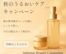 美容・コスメ・雑貨向けの上品なバナーを制作します ブランドの魅力を上品に伝えるバナーデザイン イメージ3