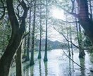 実績1500件以上❤️ 仕事/対人/運勢/占います 霊感タロット鑑定致します❤️お気軽にどうぞ！ イメージ5