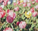 カメラ女子が東京の写真を撮ってきます 動画撮影も承っております!写真加工まで行います✨ イメージ2