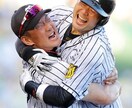 あなたをプロ野球が楽しく観れる人にします 野球観戦のイロハがさっぱりわからんぜ！というあなたへ イメージ1
