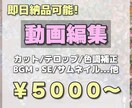 即日納品可能！YouTube動画の編集作業承ります 丁寧に仕上げます。ご相談だけでも大歓迎です！ イメージ1