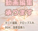 動画編集承ります✳︎丁寧に対応させていただきます 【最安値】初心者様大歓迎です♪ イメージ1