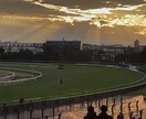 JRA競馬ダート未勝利戦軸馬を決めるコツを教えます 年間収支プラスの私がコツを教えます。あなたも収支プラスに。 イメージ1