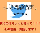 Twitterフォロワー増量サービスの末路教えます フォロワー増量サービスは勝ってはダメ！お金をドブに捨てます！ イメージ1