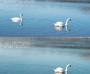 人物・風景・画像のレタッチ/ニーズにお応えします 『エモいレタッチ・丁寧に対応します』 イメージ3