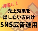 売上最大化｜SNS広告プロがビジネスを加速させます 高精度なターゲティングと低クリック単価で効果的に集客 イメージ1