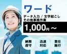 ワード(データ入力/文字起こし/他)を代行します 理想のワードデータを短期間かつ格安で作ります。 イメージ1