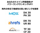 ドメインパワーアップ✅させます DR70 UR80 DA30 PA30 TF30 CF20 イメージ1