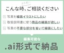 写真をシンプルな線画イラストにします 取扱説明書や商品資料に！編集可能なAIデータで納品 イメージ2