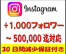 Instagramフォロワー1,000人増加します ⚡ココナラ最速・最安値を目指します⚡30日間減少保証付き⚡ イメージ1