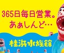 高知県での旅行プランをご提案いたします 定番から穴場スポットまで、ご希望に応じて提案させて頂きます。 イメージ7