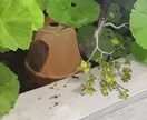 商用利用可　一枚絵・風景イラストの制作承ります 動画サムネ、背景、ヘッダー、小説の挿絵などに！ イメージ1