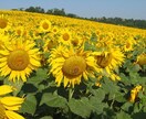 あなたの光から大切な情報をお伝えします ステージが変わる時期が来ました。さあ、次はあなたの番です。 イメージ1