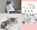 ペットの気持ち、タロットで占います ルノルマンカードでペットのお悩み解決しませんか？ イメージ1