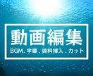 bgm、字幕、カット作業、簡単な資料挿入等します 主に字幕とbgm、カット、簡単な資料挿入作業になります イメージ1