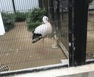 コロナ疲れの皆さん、愚痴、悩み、相談聞きます 現役鳶職人がお話し聞きます。5分からでもどうぞ！！！ イメージ10