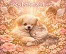 ペットからのメッセージをあなたへ言葉で届けます 魂の声を読むアニマルコミュニケーションで愛のメッセージお届け イメージ1