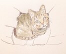 ペットのイラストお描きします ペンと水彩でオシャレなペットイラストを制作します！ イメージ2