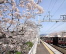 鉄道旅行の相談に乗ります 初心者の方のご相談喜んで受け付けます! イメージ5