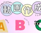 YouTube/TikTok動画を作成します 様々なファイル形式に対応しております イメージ1