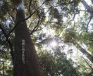 心と体の巡りのバランスを整えて『開運』を促します 開運の為の心身の整え方を『美の専門家』が教えます。 イメージ2