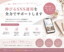 SNS運用のお悩みを分析し改善案をご提案します 投稿内容・伸び悩み・方向性を一緒に整理します イメージ4