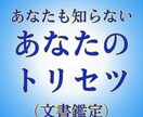 あなたの「トリセツ」おつくりします 自分のことは自分が一番わからない。あなただけの取り扱い説明書 イメージ1