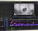 動画制作（YouTubeなど）を請け負います テレビ番組ディレクター歴２０年以上の経験と技術を提供します イメージ2
