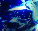 引き寄せについてお答えします ☺︎引き寄せって何？と疑問に思っている方に イメージ1