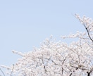 お花・植物・自然の写真提供します 色鮮やかなお写真多めに提供します イメージ4
