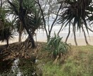 オーストラリアの仕事相談に乗ります 現地在住経験からリアルにお伝えします イメージ7